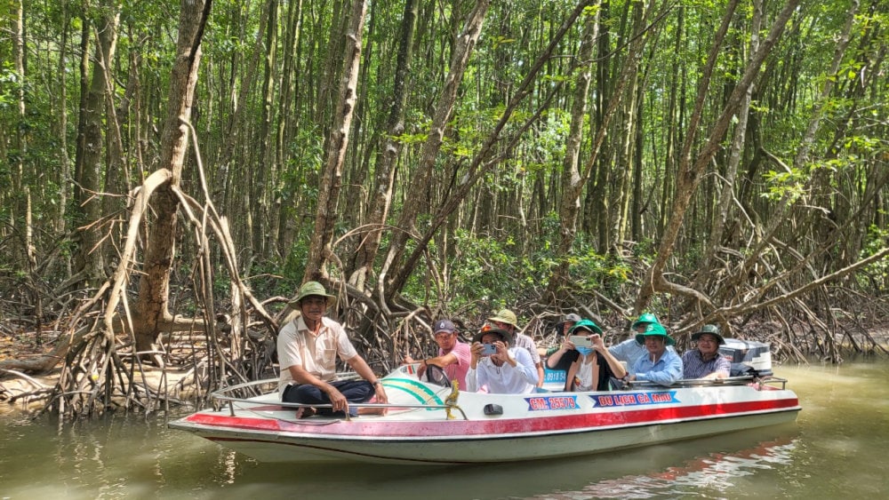 Tham quan rừng ngập mặn Bạc Liêu